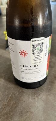 FJELL 01