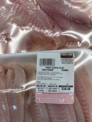 Fresh Tilapia Fillet