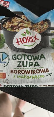 GOTOWA ZUPA BOROWIKOWA z makaronem