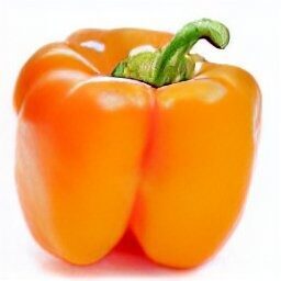 Hothouse Orange Bell Pepper