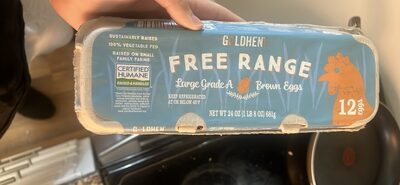 Large Grade A Brown Eggs