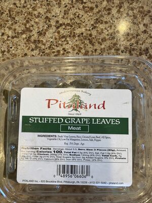 Lebanese Stuffed Grape Leaves With Meat