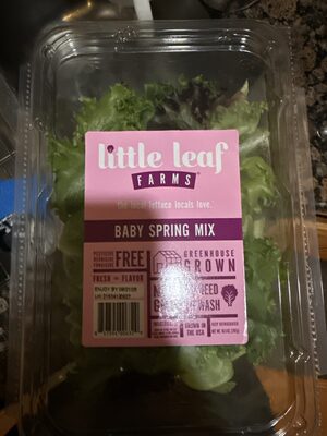 Little Leaf Farm Baby Spring Mix