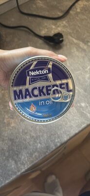 Mackerel in oil