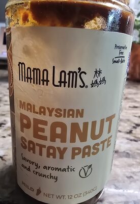 Malaysian Peanuts Satay Paste