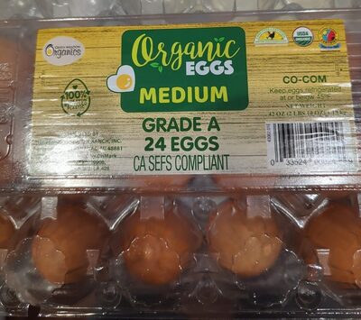Medium Organic Egg
