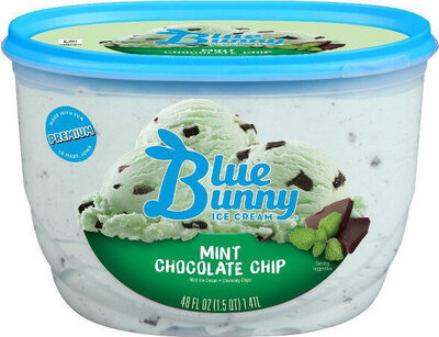 Mint chocolate chip ice cream
