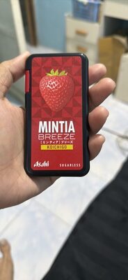 MINTIA BREEZE KOICHIGO