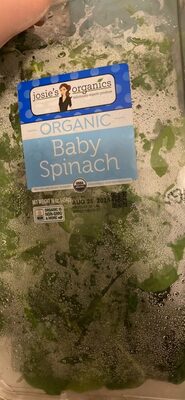 Organic Baby Spinach