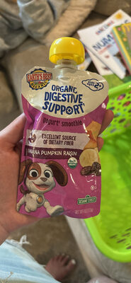 Organic Digestive Support Yogurt Smoothie Banana Pumpkin Raisin