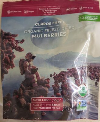 Organic Freeze Dried Mulberries