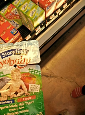 Organic YoBaby Blueberry Yogurt w/ Probiotics