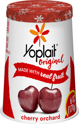 Original low fat yogurt