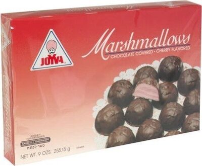 Passover chocolate covered marshmallows cherry
