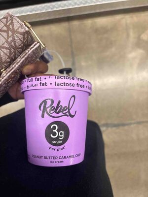 Peanut Butter Caramel Chip Ice Cream