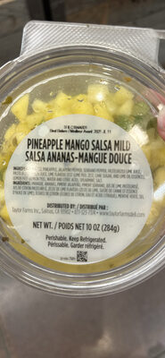 Pineapple Mango Salsa Mild