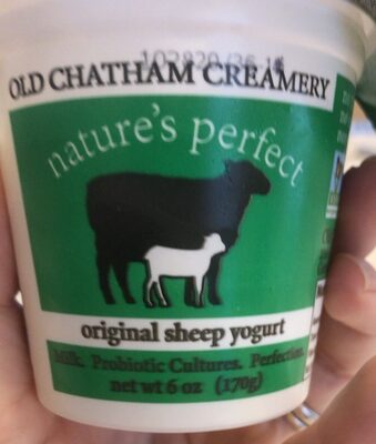 Plain Sheep's Milk Yogurt