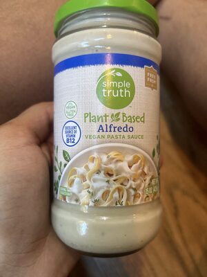 Plant based vegan alfredo pasta sauce