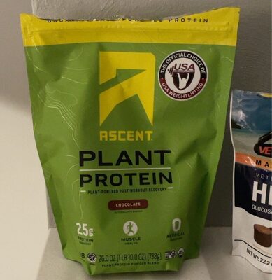 Plant Protein