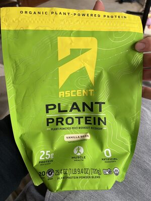 Plant protein