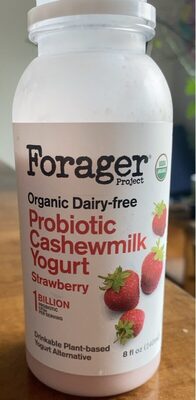 Probiotic Cashewmilk Yogurt