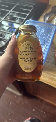 Pure Michigan Honey