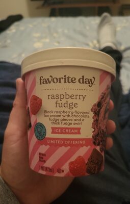 Raspberry Fudge Ice Cream