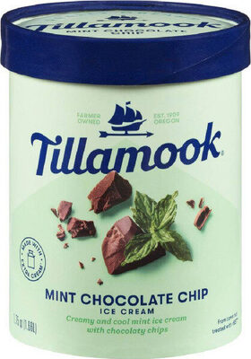 Really Creamy Ice Cream