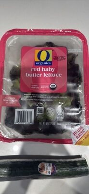 red baby butter lettuce