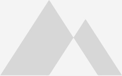 Rice A Roni Family Size Beef 13.6 Ounce Paper Box