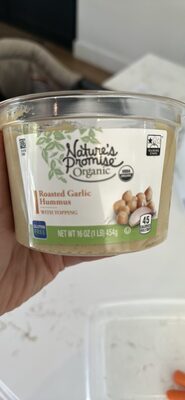 Roasted Garlic Hummus with Topping
