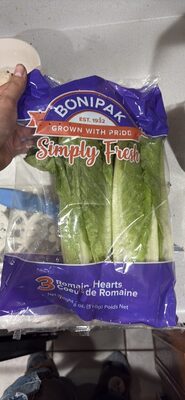 Romaine Hearts