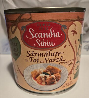 Sărmăluțe în Foi de Varză