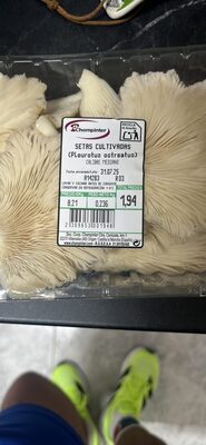 SETAS CULTIVADAS (Pleurotus ostreatus)