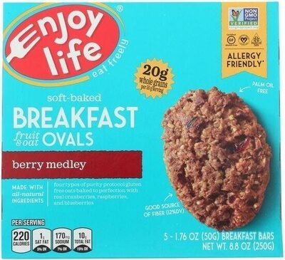 Soft Baked Breakfast Ovals - Apple Cinnamon