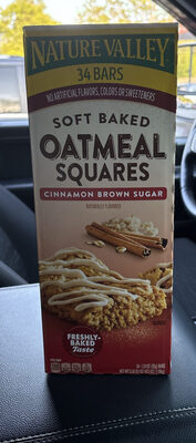 Soft Baked Oatmeal Squares Cinnamon Brown Sugar