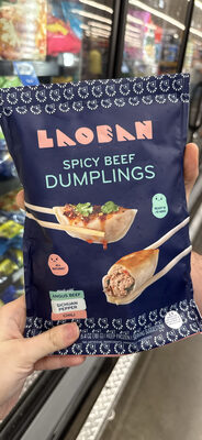 Spicy Beef Dumplings