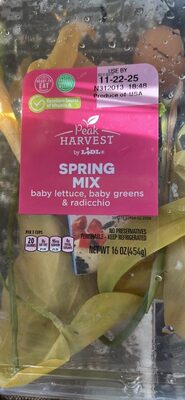 SPRING MIX baby lettuce, baby greens & radicchio