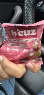 strawberry-mallow granola bites