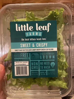 Sweet & Crispy Sweet Baby Butter Leaf & Baby Crispy Green Leaf Blend