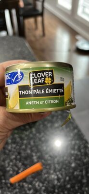THON PÂLE ÉMIETTÉ ANETH ET CITRON