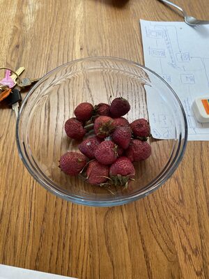 Trader joe's, rainbow peppercorns