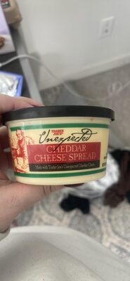 Unexpected Cheddar Cheese Spread
