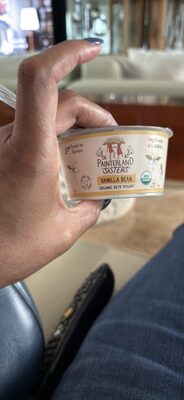 VANILLA BEAN ORGANIC SKYR YOGURT