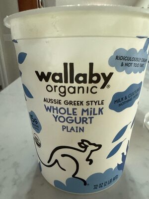 whole milk yogurt plain